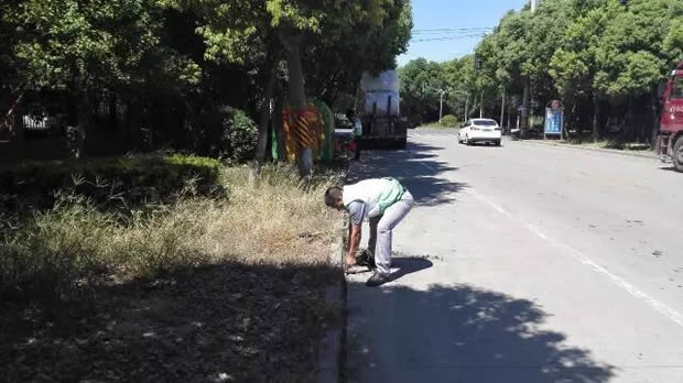 滬工閥門美麗華亭清潔家園志愿者活動(dòng)(圖2)