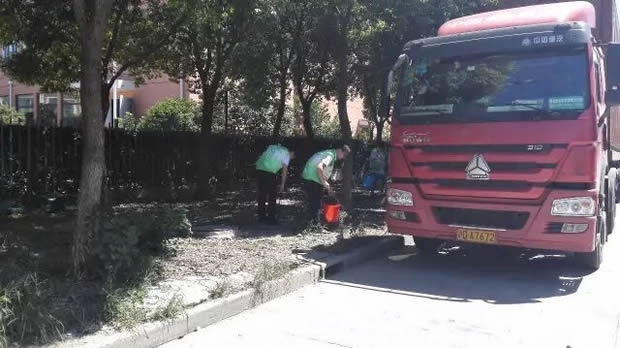 滬工閥門美麗華亭清潔家園志愿者活動(dòng)(圖1)